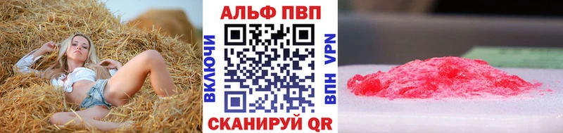 A-PVP СК Короча