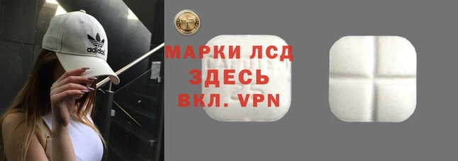 мяу мяу мука Осташков