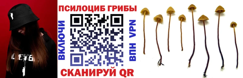 цена   Короча  Псилоцибиновые грибы мухоморы 
