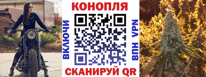 Бошки Шишки тримм  Короча 